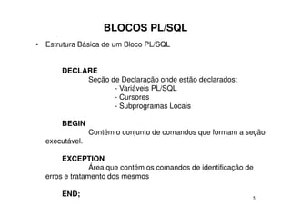 BLOCOS PL/SQL
• Estrutura Básica de um Bloco PL/SQL


       DECLARE
            Seção de Declaração onde estão declarados:
                   - Variáveis PL/SQL
                   - Cursores
                   - Subprogramas Locais

       BEGIN
                Contém o conjunto de comandos que formam a seção
  executável.

       EXCEPTION
                Área que contém os comandos de identificação de
  erros e tratamento dos mesmos

       END;                                                   5
 