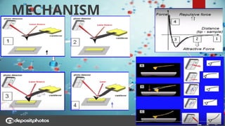 Comprehensive Overview of Atomic Force Microscopy: Principles ...