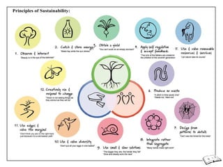 Principles of Sustainability:
 