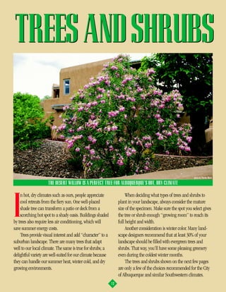 TREES AND SHRUBS


                                                                                                                photo by Charles Mann

                     THE DESERT WILLOW IS A PERFECT TREE FOR ALBUQUERQUE’S HOT, DRY CLIMATE

    n hot, dry climates such as ours, people appreciate                When deciding what types of trees and shrubs to


I   cool retreats from the fiery sun. One well-placed
    shade tree can transform a patio or deck from a
    scorching hot spot to a shady oasis. Buildings shaded
by trees also require less air conditioning, which will
save summer energy costs.
                                                                  plant in your landscape, always consider the mature
                                                                  size of the specimen. Make sure the spot you select gives
                                                                  the tree or shrub enough “growing room” to reach its
                                                                  full height and width.
                                                                       Another consideration is winter color. Many land-
    Trees provide visual interest and add “character” to a        scape designers recommend that at least 30% of your
suburban landscape. There are many trees that adapt               landscape should be filled with evergreen trees and
well to our local climate. The same is true for shrubs; a         shrubs. That way, you’ll have some pleasing greenery
delightful variety are well-suited for our climate because        even during the coldest winter months.
they can handle our summer heat, winter cold, and dry                  The trees and shrubs shown on the next few pages
growing environments.                                             are only a few of the choices recommended for the City
                                                                  of Albuquerque and similar Southwestern climates.
                                                             12
 