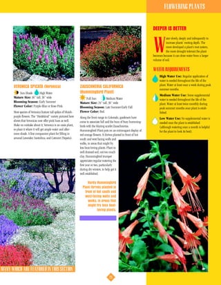 FLOWERING PLANTS


                                                                                                                            DEEPER IS BETTER
                                                                                                                                       ater slowly, deeply and infrequently to


                                                                                                                            W          increase plants’ rooting depth. The
                                                                                                                                       more developed a plant’s root system,
                                                                                                                                       the more drought-tolerant the plant
                                                                                                                            becomes because it can draw water from a larger
                                                                                                                            volume of soil.

                                                                                                                            WATER REQUIREMENTS
                                                                                                                                 High Water Use: Regular application of
                                                                                                                                 water is needed throughout the life of the
                                                                                                                                 plant. Water at least once a week during peak
         VERONICA SPICATA (Veronica)                               ZAUSCHNERIA CALIFORNICA
                                                                                                                                 summer months.
             Sun-Shade       High Water                            (Hummingbird Plant)
                                                                                                                                 Medium Water Use: Some supplemental
         Mature Size: 36” tall, 36” wide                               Full Sun        Medium Water                              water is needed throughout the life of the
         Blooming Season: Early Summer                             Mature Size: 24” tall, 36” wide                               plant. Water at least twice monthly during
         Flower Color: Purple-Blue or Rose-Pink.                   Blooming Season: Late Summer-Early Fall                       peak summer months once plant is estab-
         Most species of Veronica feature tall spikes of bluish-   Flower Color: Red.                                            lished.
         purple flowers. The “Heidekind” variety pictured here     Along the front range in Colorado, gardeners have             Low Water Use: No supplemental water is
         shows that Veronicas now offer pink hues as well.         come to associate fall and the buzz of busy humming-          needed once the plant is established
         Make no mistake about it, Veronica is an oasis plant,     birds with the blazing scarlet Zauschnerias.                  (although watering once a month is helpful
         so place it where it will get ample water and after-      Hummingbird Plant puts on an extravagant display of           for the plant to look its best).
         noon shade. A fine companion plant for filling in         red-orange flowers. It thrives planted in front of hot
         around Lavender, Santolina, and Catmint (Nepeta).         south and west facing walls and
                                                                   walks, in areas that might fry
                                                                   less heat-loving plants. Plant in
                                                                   well drained soil; not too much
                                                                   clay. Hummingbird trumpet
                                                                   appreciates regular watering the
                                                                   first year or two, particularly
                                                                   during dry winters, to help get it
                                                                   well established.

                                                                         Hardy Hummingbird
                                                                     Plant thrives planted in
                                                                       front of hot south and
                                                                       west-facing walls and
                                                                         walks, in areas that
                                                                         might fry less heat-
                                                                                loving plants.




, MANY WHICH ARE FEATURED IN THIS SECTION
                                                                                            25
 