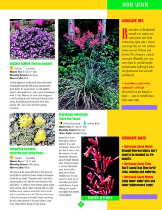 DESERT ACCENTS


                                                                                                                XERISCAPE TIPS

                                                                                                                       ainwater can be directed

                                                                                                                R      toward your native and
                                                                                                                       xeric plants with land
                                                                                                                contouring. (Just take a shovel
                                                                                                                and shape the soil into earthen
                                                                                                                basins around all trees and
                                                                                                                shrubs.) By using our natural
                                                                                                                rainwater efficiently, you may
RUSCHIA HAMATA (Trailing Iceplant)                                                                              never have to provide supple-
    Full Sun     Low Water
                                                                                                                mental water to drought-toler-
Mature Size: 5” tall, 18” wide                                                                                  ant plants once they are well
Blooming Season: Late Spring                                                                                    established.
Flower Color: Pink.
Trailing Iceplant is a cold-hardy plant with woody                                                              • Anywhere rainwater
weeping stems covered with small, succulent ever-
green leaves. It’s a good choice in rock gardens                                                                naturally collects —
where it can cascade over a rock or piece of weathered                                                          off a roof or at the base of a
wood. A heavy bloomer, the entire plant disappears                                                              slope — can be turned into a
under hundreds of small fuchsia-pink flowers in late
spring. Ruschia hamata looks great when inter-
                                                                                                                mini-oasis zone.
planted with various cacti and other upright
succulents.

                                                         HESPERALOE PARVIFLORA
                                                         (Texas Red Yucca)
                                                             Full Sun-Part Shade         Medium Water
                                                         Mature Size: 36” tall, 36” wide
                                                         Blooming Season: May-June
                                                         Flower Color: Reddish-Orange.
                                                         Hesperaloe is a very                                   XERISCAPE SAVES
                                                         showy plant native to
                                                         southern Texas and
                                                         northeastern Mexico. Not                               • Xeriscape Saves Water.
TITANOPSIS CALCAREA                                      only does it thrive in hot,                            Drought-tolerant plants don’t
(Concrete Leaf Living Stone)                             dry summers, it is also
                                                                                                                need to be watered as fre-
                                                         remarkably tolerant to
    Full Sun     Low Water                                                                                      quently.
                                                         sub-zero winter tempera-
Mature Size: 1” tall, 6” wide
                                                         tures. Evergreen clumps                                • Xeriscape Saves Time.
Blooming Season: Early Spring
                                                         of narrow, dark bluish-
Flower Color: Yellow.                                                                                           You’ll spend less time fertil-
                                                         green leaves make a
This species is the most cold hardy in this genus of     great accent of year-                                  izing, mowing and watering.
South African succulents closely related to Aloinopsis   round texture. In early
(Hardy Living Stone). Titanopsis needs a fast-drain-     summer it sends up 3-4
                                                                                                                • Xeriscape Saves Money.
ing rock garden soil, with the roots situated so they    foot stalks covered with                               Enjoy lower water bills and
grow down 4-6 inches or more between closely spaced      reddish flowers. A great-                              lower maintenance costs!
rocks into the subsoil. (Open soil beds with no rocks    looking, low-mainte-
hold too much moisture around the roots in winter        nance plant that attracts
and can cause the roots to rot.) The succulent leaves    hummingbirds.
of this plant are gray and warted, closely resembling                                       HESPERALOE FLOWER
the rock-strewn ground of its native habitat. Large
shiny yellow flowers appear in early spring.                                           29
 