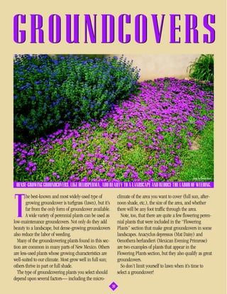 GROUNDCOVERS


                                                                                                            photo by Charles Mann

 DENSE-GROWING GROUNDCOVERS, LIKE DELOSPERMA, ADD BEAUTY TO A LANDSCAPE AND REDUCE THE LABOR OF WEEDING.

       he best-known and most widely-used type of               climate of the area you want to cover (full sun, after-


T      growing groundcover is turfgrass (lawn), but it’s
       far from the only form of groundcover available.
       A wide variety of perennial plants can be used as
low-maintenance groundcovers. Not only do they add
beauty to a landscape, but dense-growing groundcovers
                                                                noon shade, etc.), the size of the area, and whether
                                                                there will be any foot traffic through the area.
                                                                  Note, too, that there are quite a few flowering peren-
                                                                nial plants that were included in the “Flowering
                                                                Plants” section that make great groundcovers in some
also reduce the labor of weeding.                               landscapes. Anacyclus depressus (Mat Daisy) and
  Many of the groundcovering plants found in this sec-          Oenothera berlandieri (Mexican Evening Primrose)
tion are common in many parts of New Mexico. Others             are two examples of plants that appear in the
are less-used plants whose growing characteristics are          Flowering Plants section, but they also qualify as great
well-suited to our climate. Most grow well in full sun;         groundcovers.
others thrive in part or full shade.                              So don’t limit yourself to lawn when it’s time to
  The type of groundcovering plants you select should           select a groundcover!
depend upon several factors— including the micro-
                                                           30
 
