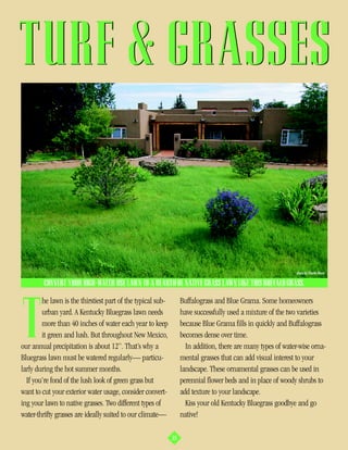 TURF & GRASSES


                                                                                                             photo by Charles Mann

         CONVERT YOUR HIGH-WATER USE LAWN TO A BEAUTIFUL NATIVE GRASS LAWN LIKE THIS BUFFALO GRASS.

        he lawn is the thirstiest part of the typical sub-        Buffalograss and Blue Grama. Some homeowners



T       urban yard. A Kentucky Bluegrass lawn needs
        more than 40 inches of water each year to keep
        it green and lush. But throughout New Mexico,
our annual precipitation is about 12”. That’s why a
Bluegrass lawn must be watered regularly— particu-
                                                                  have successfully used a mixture of the two varieties
                                                                  because Blue Grama fills in quickly and Buffalograss
                                                                  becomes dense over time.
                                                                    In addition, there are many types of water-wise orna-
                                                                  mental grasses that can add visual interest to your
larly during the hot summer months.                               landscape. These ornamental grasses can be used in
  If you’re fond of the lush look of green grass but              perennial flower beds and in place of woody shrubs to
want to cut your exterior water usage, consider convert-          add texture to your landscape.
ing your lawn to native grasses. Two different types of             Kiss your old Kentucky Bluegrass goodbye and go
water-thrifty grasses are ideally suited to our climate—          native!

                                                             35
 