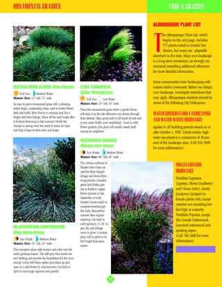 ORNAMENTAL GRASSES                                                                                                               TURF & GRASSES

                                                                                                                      ALBUQUERQUE PLANT LIST
                                                                                                                              he Albuquerque Plant List, which


                                                                                                                      T       begins on the next page, includes
                                                                                                                              575 plants suited to Central New
                                                                                                                              Mexico, but many are adaptable
                                                                                                                      elsewhere in the state. Since your landscape
                                                                                                                      is a long-term investment, we strongly rec-
                                                                                                                      ommend consulting additional references
                                                                                                                      for more detailed information.

                                                                                                                      Some communities have landscaping ordi-
FESTUCA OVINA GLAUCA (Blue Fescue)                          STIPA TENNUIFOLIA                                         nances and/or covenants. Before you design
    Full Sun     Medium Water                               (Silky Threadgrass)                                       your landscape, investigate restrictions that
Mature Size: 12” tall, 12” wide                                 Full Sun    Low Water                                 may apply. Albuquerque residents should be
An easy-to-grow ornamental grass with a pleasing            Mature Size: 24” tall, 24” wide                           aware of the following City Ordinances:
tufted shape, outstanding when used to border flower        Plant this ornamental grass where a gentle breeze
beds and walks. Blue Fescue is compact and has a            will sway it as the late afternoon sun shines through     WATER CONSERVATION LANDSCAPING
bright steel-blue foliage. Shear off the seed heads after   from behind. Stipa grows well in all kinds of soils and
it finishes blooming in late summer. Divide the             is very water thrifty once established. Good in wild-
                                                                                                                      AND WATER WASTE ORDINANCE
clumps in spring every few years to renew its vigor         flower gardens, this plant will readily reseed itself     Applies to all building permits issued on or
and help it keep its best color and shape.                  among its neighbors.                                      after October 1, 1995. Limits certain high
                                                                                                                      water use plants to a maximum of 20 per-
                                                            MISCANTHUS SINENSIS                                       cent of the landscape area. (Call 924-3849
                                                            (Maiden Hair Grass)                                       for more information).
                                                                Sun-Shade       Medium Water
                                                            Mature Size: 60” tall, 48” wide
                                                            The various cultivars of
                                                            Maiden Hair Grass are                                                      POLLEN CONTROL
                                                            used for their elegant                                                     ORDINANCE
                                                            foliage and showy flow-
                                                            ering plumes. Graceful
                                                                                                                                       Prohibits Cupressus
                                                            green leaf blades give                                                     (cypress), Morus (mulberry)
                                                            rise to feathery copper                                                    and Ulmus (elm). Limits
                                                            flower plumes in late                                                      Juniperus (juniper) to
                                                            September or early                                                         female plants only, except
                                                            October. Grows easily in
                                                            compost-enriched gar-
                                                                                                                                       varieties not exceeding two
                                                            den soils, Miscanthus                                                      feet high at maturity.
                                                            sinensis likes regular                                                     Prohibits Populus, except
                                                            watering. Cut back in                                                      Rio Grande Cottonwood,
                                                            early spring to 15-18” to                                                  lanceleaf cottonwood and
HELICTOTRICHON SEMPERVIRENS                                 give the new foliage
                                                                                                                                       quaking aspen.
(Blue Avena Grass)                                          room to grow. A mature
                                                            plant will re-grow to its                                                  (Call 768-2600 for more
    Sun-Shade       Medium Water
                                                            full height that same                                                      information).
Mature Size: 24” tall, 24” wide
                                                            season.
This evergreen plant adds texture and color over the
entire growing season. The stiff gray-blue leaves are
very striking and provide the foundation for the orna-
mental 4-foot-tall flower spikes that shoot up and
ripen to a soft brown by mid-summer. Cut back in
April to encourage vigorous new growth.

                                                                                        37
 