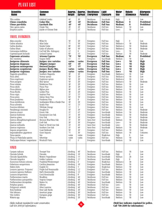 PLANT LIST
 Scientific                           Common                              Approx. Approx. Decidiuous/ Light              Water     Rebate          Allergenic
 Name                                 Name                                Height Spread Evergreen Exposure               Use       Allowance       Potential
Tilia cordata                         Littleleaf Linden                   40’        30’      Deciduous    Sun/shade     High          0           Low
Ulmus crassifolia                     Cedar Elm                           40’        40’      Deciduous    Full Sun      Medium        0           Prohibited
Ulmus parvifolia                      Lacebark Elm                        40’        40’      Deciduous    Full Sun      Medium        0           Prohibited
Vitex agnus-castus                    Chaste Tree                         20’        20’      Deciduous    Full Sun      Medium        50          Low
Zizyphus jujuba                       Jujube or Chinese Date              25’        25’      Deciduous    Full Sun      Low+          50          Low


TREES, EVERGREEN
Abies concolor                        White Fir                           50’        20’      Evergreen    Full Sun      High          0           Low
Cedrus atlantica                      Atlas Cedar                         75’        50’      Evergreen    Full Sun      Medium+       50          Moderate
Cedrus deodara                        Deodar Cedar                        80’        60’      Evergreen    Full Sun      Medium+       50          Moderate
Cedrus libani                         Cedar of Lebanon                    80’        50’      Evergreen    Full Sun      Medium+       50          Moderate
Cercocarpus ledifolius                Curl leaf Mtn. Mahogany             12’        6’       Evergreen    Full Sun      Low+          50          Low
Cupressocyparis leylandii             Leyland Cypress                     60’        35’      Evergreen    Full Sun      Medium        50          Moderate
Cupressus arizonica                   Arizona Cypress                     70’        50’      Evergreen    Full Sun      Medium        0           Prohibited
Ilex vomitoria                        Yaupon Holly                        15’        15’      Evergreen    Sun/Shade     Medium        50          Low
Juniperus chinensis                   Juniper, tree varieties             varies     varies   Evergreen    Full Sun      Low+          50          High
Juniperus deppeana                    Alligator Juniper                   60’        40’      Evergreen    Full Sun      Low+          50          High
Juniperus monosperma                  Oneseed Juniper                     15’        15’      Evergreen    Full Sun      Low+          50          High
Juniperus scopulorum                  Juniper, Rocky Mtn.                 varies     varies   Evergreen    Full Sun      Low+          50          High
Juniperus virginiana                  Juniper, tree varieties             varies     varies   Evergreen    Full Sun      Low+          50          High
Magnolia grandiflora                  Southern Magnolia                   30’        30’      Evergreen    Sun/shade     Medium+       50          Low
Picea abies                           Norway spruce                       50’        20’      Evergreen    Full Sun      Medium+       50          Low
Picea engelmani                       Engleman spruce                     50’        20’      Evergreen    Full Sun      Medium+       50          Low
Picea pungens                         Blue Spruce                         50’        20’      Evergreen    Full Sun      Medium+       50          Moderate
Pinus aristata                        Bristlecone Pine                    30’        20’      Evergreen    Full Sun      Medium        50          Low
Pinus edulis                          Pinon Pine                          30’        20’      Evergreen    Full Sun      Medium        50          Low
Pinus eldarica                        Afghan pine                         40’        18’      Evergreen    Full Sun      Medium        50          Low
Pinus flexilis                        Limber Pine                         30’        20’      Evergreen    Full Sun      Medium        50          Low
Pinus nigra                           Austrian Pine                       35’        25’      Evergreen    Full Sun      Medium        50          Low
Pinus pinea                           Italian Stone Pine                  60’        50’      Evergreen    Full Sun      Medium        50          Low
Pinus ponderosa                       Ponderosa Pine                      40’        0’       Evergreen    Full Sun      Medium        50          Low
Pinus strobiformis                    Southwestern White or Border Pine   30’        20’      Evergreen    Full Sun      Medium        50          Low
Pinus sylvestris                      Scotch Pine                         45’        25’      Evergreen    Full Sun      Medium        50          Low
Poncirus trifoliata                   Trifoliate Orange                   15’        5’       Evergreen    Full Sun      Medium        50          Low
Pseudotsuga menziesii                 Douglas Fir                         50’        20’      Evergreen    Full Sun      Medium        50          Moderate
Quercus emoryi                        Emory Oak                           35’        45’      Evergreen    Sun/shade     Medium        50          Moderate
Quercus fusiformis                    Escarpment Live Oak                 25’        30’      Evergreen    Sun/shade     Medium        50          Moderate
Quercus grisea                        Gray Oak                            30’        30’      Evergreen    Sun/shade     Low+          50          Moderate
Quercus oblongifolia/engelmannii      Mexican Blue/Mesa Oak               25’        30’      Semi-Ever    Sun/shade     Medium        50          Moderate
Quercus suber                         Cork Oak                            30’        30’      Evergreen    Sun/shade     Low+          50          Moderate
Quercus turbinella                    Desert or Shrub Live Oak            18’        20’      Semi-Ever.   Sun/shade     Low+          50          Moderate
Quercus virginiana                    Southern Live Oak                   35’        40’      Semi-Ever.   Sun/shade     Medium        50          Moderate
Sequoia sempervirens                  Coast Redwood                       50’        30’      Evergreen    Full Sun      Medium        50          Low
Sequoiadendron giganteum              Giant Sequoia                       75’        30’      Evergreen    Full Sun      Medium        50          Unknown
Taxus species                         Yew                                 varies     varies   Evergreen    Shade/sun     High          0           Low
Thuja or Platycladus species          Arborvitae                          varies     varies   Evergreen    Full Sun      Medium        50          Low
Trachycarpus fortunei / wagnerianus   Windmill Palm                       15’        4’       Evergreen    Sun/shade     Medium        50          Low


VINES
Campsis radicans                      Trumpet Vine                        climbing   40’      Deciduous    Full Sun      Medium        50          Low
Clematis hybrids                      Clematis                            climbing   10’      Deciduous    Sun/shade     High          0           Low
Clematis ligusticifolia               Western Virginsbower                climbing   15’      Deciduous    Sun/shade     Medium        20          Low
Clematis tangutica                    Golden Lanterns                     climbing   15’      Deciduous    Sun/shade     High          0           Low
Euonymus fortunei colorata            Purpleleaf Wintercreeper            climbing   6’       Evergreen    Shade/sun     Medium+       30          Low
Gelsemium sempervirens                Carolina Jessamine                  climbing   10’      Evergreen    Sun/shade     Medium        50          Low
Hedera helix                          English Ivy                         climbing   5’       Evergreen    Shade/sun     Medium        50          Low
Lonicera japonica ‘Purpurea’          Purple leaf Honeysuckle             climbing   12’      Evergreen    Full Sun      Medium        50          Low
Lonicera japonica Halliana            Hall’s Honeysuckle                  climbing   12’      Evergreen    Sun/shade     Medium        50          Low
Lonicera sempervirens                 Coral Honeysuckle                   climbing   8’       Evergreen    Sun/shade     Medium        50          Low
Parthenocissus inserta                Woodbine                            climbing   40’      Deciduous    Full Sun      Medium        50          Low
Parthenocissus quinquefolia           Virginia Creeper                    climbing   40’      Deciduous    Full Sun      Medium        50          Low
Parthenocissus tricuspidata           Boston Ivy                          climbing   40’      Deciduous    Sun/shade     Medium        50          Low
Periploca graeca                      Silkvine                            climbing   40’      Deciduous    Full Sun      Low+          50          Low
Polygonum aubertii                    Silver Lacevine                     climbing   40’      Deciduous    Full Sun      Low+          50          Low
Rosa banksiae                         Rose Lady Banks                     climbing   20’      Evergreen    Full Sun      Medium        50          Low
Vitis labrusca                        American grape                      climbing   30’      Deciduous    Full Sun      Medium        50          Low
Vitis vinifera                        European grape                      climbing   30’      Deciduous    Full Sun      Medium        50          Low
Wisteria spp.                         Wisteria                            climbing   20’      Deciduous    Sun/shade     Medium        50          Low

(Italics indicate regulated for water conservation.                                                                    (Bold face indicates regulated for pollen.
Call 924-3849 for information)                                                         46                              Call 768-2600 for information)
 