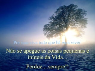 Por isso viva tudo que há para viver. Não se apegue as coisas pequenas e inúteis da Vida... Perdoe....sempre!! 