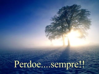Perdoe....sempre!! 