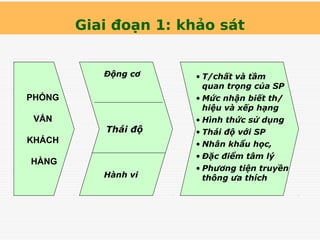 Giai đoạn 1: khảo sát
Thái độ
• T/chất và tầm
quan trọng của SP
• Mức nhận biết th/
hiệu và xếp hạng
• Hình thức sử dụng
• Thái độ với SP
• Nhân khẩu học,
• Đặc điểm tâm lý
• Phương tiện truyền
thông ưa thích
Động cơ
Hành vi
PHỎNG
VẤN
KHÁCH
HÀNG
 