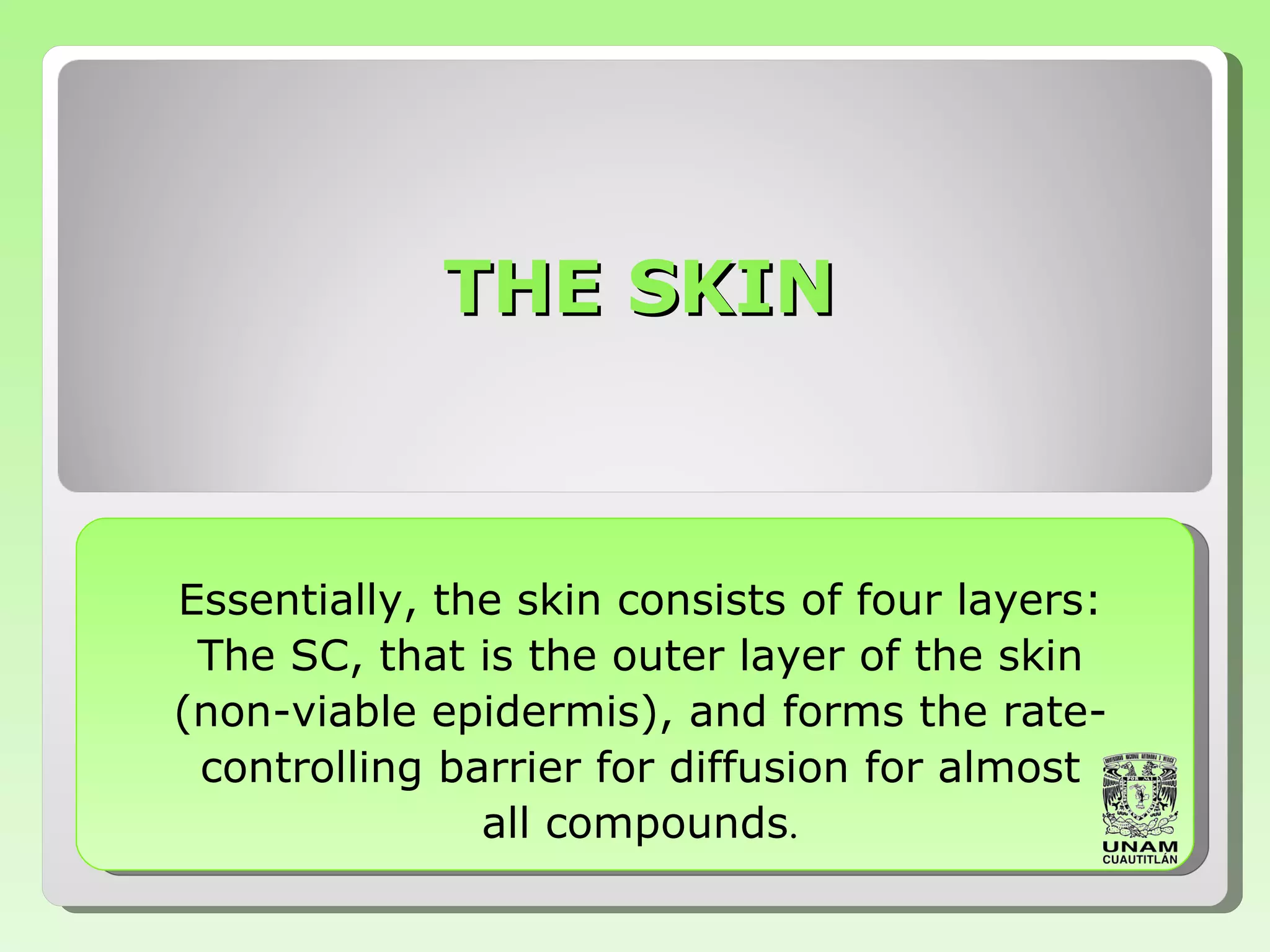 THE SKIN Essentially, the skin consists of four layers: The SC, that is the outer layer of the skin (non-viable epidermis), and forms the rate-controlling barrier for diffusion for almost all compounds . 