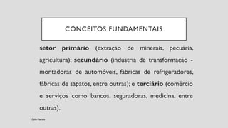 setor primário (extração de minerais, pecuária,
agricultura); secundário (indústria de transformação -
montadoras de automóveis, fabricas de refrigeradores,
fábricas de sapatos, entre outras); e terciário (comércio
e serviços como bancos, seguradoras, medicina, entre
outras).
CONCEITOS FUNDAMENTAIS
Célia Martins
 