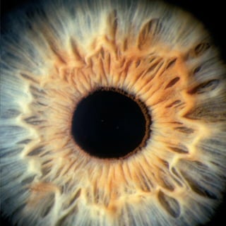 MW-Ford_Brand_Book_13-17.qxp   20/7/06   4:27 pm   Page 17
 