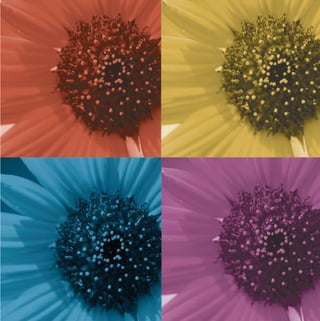 MW-Ford_Brand_21-59.qxp   24/7/06   3:33 pm   Page 23
 