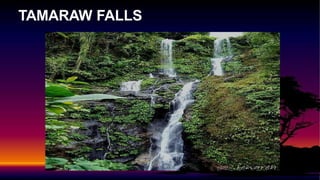 TAMARAW FALLS
 