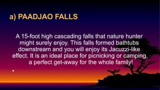 a) PAADJAO FALLS
A 15-foot high cascading falls that nature hunter
might surely enjoy. This falls formed bathtubs
downstream and you will enjoy its Jacuzzi-like
effect. It is an ideal place for picnicking or camping,
a perfect get-away for the whole family!
•
 