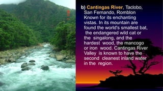 b) Cantingas River, Taclobo,
San Fernando, Romblon
Known for its enchanting
vistas. In its mountain are
found the world's smallest bat,
the endangered wild cat or
the singalong, and the
hardest wood, the mancogo
or iron wood. Cantingas River
Valley is known to have the
second cleanest inland water
in the region.
 