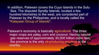 In addition, Palawan covers the Cuyo Islands in the Sulu
Sea. The disputed Spratly Islands, located a few
hundred kilometres to the west, are considered part of
Palawan by the Philippines, and is locally called the
"Kalayaan Group of Islands".
Palawan's economy is basically agricultural. The three
major crops are palay, corn and coconut. Having natural
gas reserves of approximately 30,000 trillion cubic feet,
the province is the only oil-producing province in the
country.
 