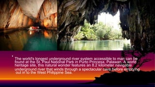 •
The world's longest underground river system accessible to man can be
found at the St. Paul National Park in Purto Princesa, Palawan. A world
heritage site, this natural wonder features an 8.2 kilometer navigable
underground river that winds through a spectacular cave before emptying
out in to the West Philippine Sea.
 