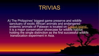 TRIVIAS
A) The Philippines' biggest game preserve and wildlife
sanctuary of exotic African animals and endangered
endemic animals of Palawan is located on Calauit Island.
it is a major conservation showcase for wildlife habitat
holding the single distinction as the first successful wildlife
translocation experiment in Asia.
 