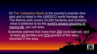 D) The Tubbataha Reefs is the country's premier dive
spot and is listed in the UNESCO world heritage site.
The Marine park covers 33,200 hectares and contains
what is believed to be the world's largest grouping of
marine life, per unit area.
Scientists claimed that more than 300 coral species, and
at least 40 families and 379 species of fish were
recorded in the area.
 