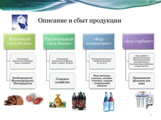 Описание и сбыт продукции  