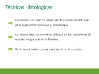 Técnicas Histológicas:
Se realizan una serie de pasos para la preparación del tejido
para su posterior estudio en el microscopio
La técnica mas comúnmente utilizada en los laboratorios de
histotecnología es la de la Parafina.
Están relacionadas con los avances de la microscopía.
 