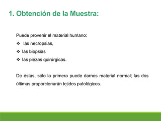 1. Obtención de la Muestra:
Puede provenir el material humano:
 las necropsias,
 las biopsias
 las piezas quirúrgicas.
De éstas, sólo la primera puede darnos material normal; las dos
últimas proporcionarán tejidos patológicos.
 