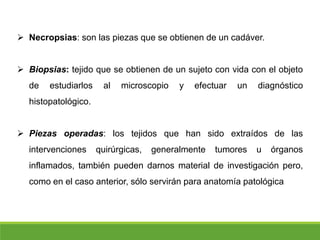  Necropsias: son las piezas que se obtienen de un cadáver.
 Biopsias: tejido que se obtienen de un sujeto con vida con el objeto
de estudiarlos al microscopio y efectuar un diagnóstico
histopatológico.
 Piezas operadas: los tejidos que han sido extraídos de las
intervenciones quirúrgicas, generalmente tumores u órganos
inflamados, también pueden darnos material de investigación pero,
como en el caso anterior, sólo servirán para anatomía patológica
 