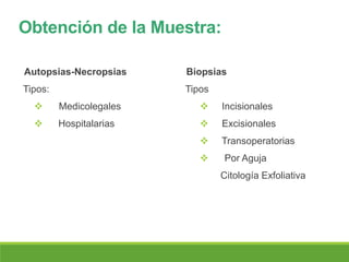 Obtención de la Muestra:
Autopsias-Necropsias
Tipos:
 Medicolegales
 Hospitalarias
Biopsias
Tipos
 Incisionales
 Excisionales
 Transoperatorias
 Por Aguja
Citología Exfoliativa
 
