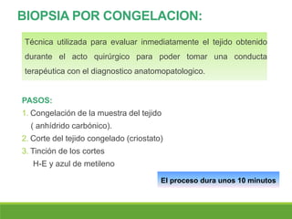 BIOPSIA POR CONGELACION:
Técnica utilizada para evaluar inmediatamente el tejido obtenido
durante el acto quirúrgico para poder tomar una conducta
terapéutica con el diagnostico anatomopatologico.
PASOS:
1. Congelación de la muestra del tejido
( anhídrido carbónico).
2. Corte del tejido congelado (criostato)
3. Tinción de los cortes
H-E y azul de metileno
El proceso dura unos 10 minutos
 