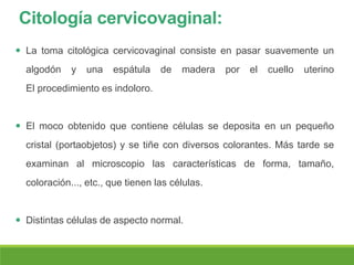 Citología cervicovaginal:
 La toma citológica cervicovaginal consiste en pasar suavemente un
algodón y una espátula de madera por el cuello uterino
El procedimiento es indoloro.
 El moco obtenido que contiene células se deposita en un pequeño
cristal (portaobjetos) y se tiñe con diversos colorantes. Más tarde se
examinan al microscopio las características de forma, tamaño,
coloración..., etc., que tienen las células.
 Distintas células de aspecto normal.
 