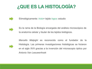 ¿QUE ES LA HISTOLOGÍA?
Marcello Malpighi es reconocido como el fundador de la
Histología. Las primeras investigaciones histológicas se hicieron
en el siglo XVII gracias a la invención del microscopio óptico por
Antonio Van Leeuwenhoek
Etimológicamente: histo= tejido logos: estudio
Es la rama de la Biología encargada del análisis microscópico de
la anatomía celular y tisular de los tejidos biológicos.
 