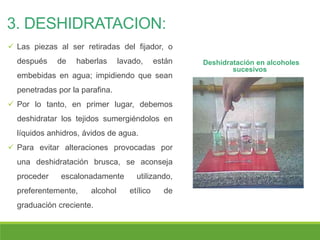 3. DESHIDRATACION:
 Las piezas al ser retiradas del fijador, o
después de haberlas lavado, están
embebidas en agua; impidiendo que sean
penetradas por la parafina.
 Por lo tanto, en primer lugar, debemos
deshidratar los tejidos sumergiéndolos en
líquidos anhidros, ávidos de agua.
 Para evitar alteraciones provocadas por
una deshidratación brusca, se aconseja
proceder escalonadamente utilizando,
preferentemente, alcohol etílico de
graduación creciente.
Deshidratación en alcoholes
sucesivos
 