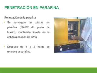 PENETRACIÓN EN PARAFINA
Penetración de la parafina
 Se sumergen las piezas en
parafina (56-58º de punto de
fusión), mantenida líquida en la
estufa a no más de 62ºC.
 Después de 1 a 2 horas se
renueva la parafina.
 
