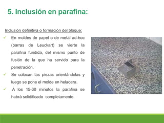 5. Inclusión en parafina:
Inclusión definitiva o formación del bloque:
 En moldes de papel o de metal ad-hoc
(barras de Leuckart) se vierte la
parafina fundida, del mismo punto de
fusión de la que ha servido para la
penetración.
 Se colocan las piezas orientándolas y
luego se pone el molde en heladera.
 A los 15-30 minutos la parafina se
habrá solidificado completamente.
 