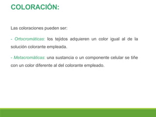 COLORACIÓN:
Las coloraciones pueden ser:
- Ortocromáticas: los tejidos adquieren un color igual al de la
solución colorante empleada.
- Metacromáticas: una sustancia o un componente celular se tiñe
con un color diferente al del colorante empleado.
 