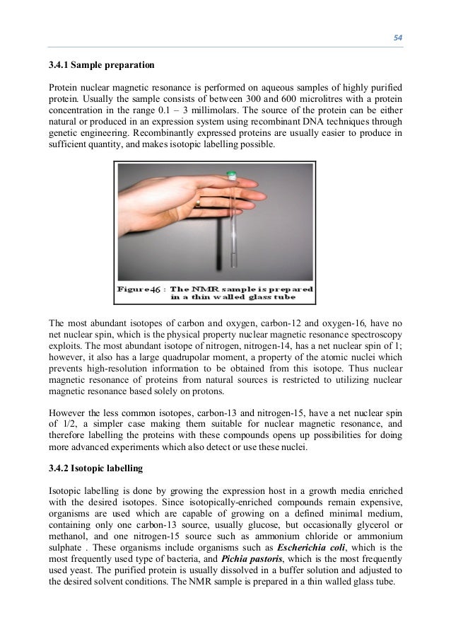 character analysis example essay bennett