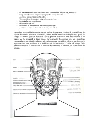 Masaje facial kobido paso a paso sale