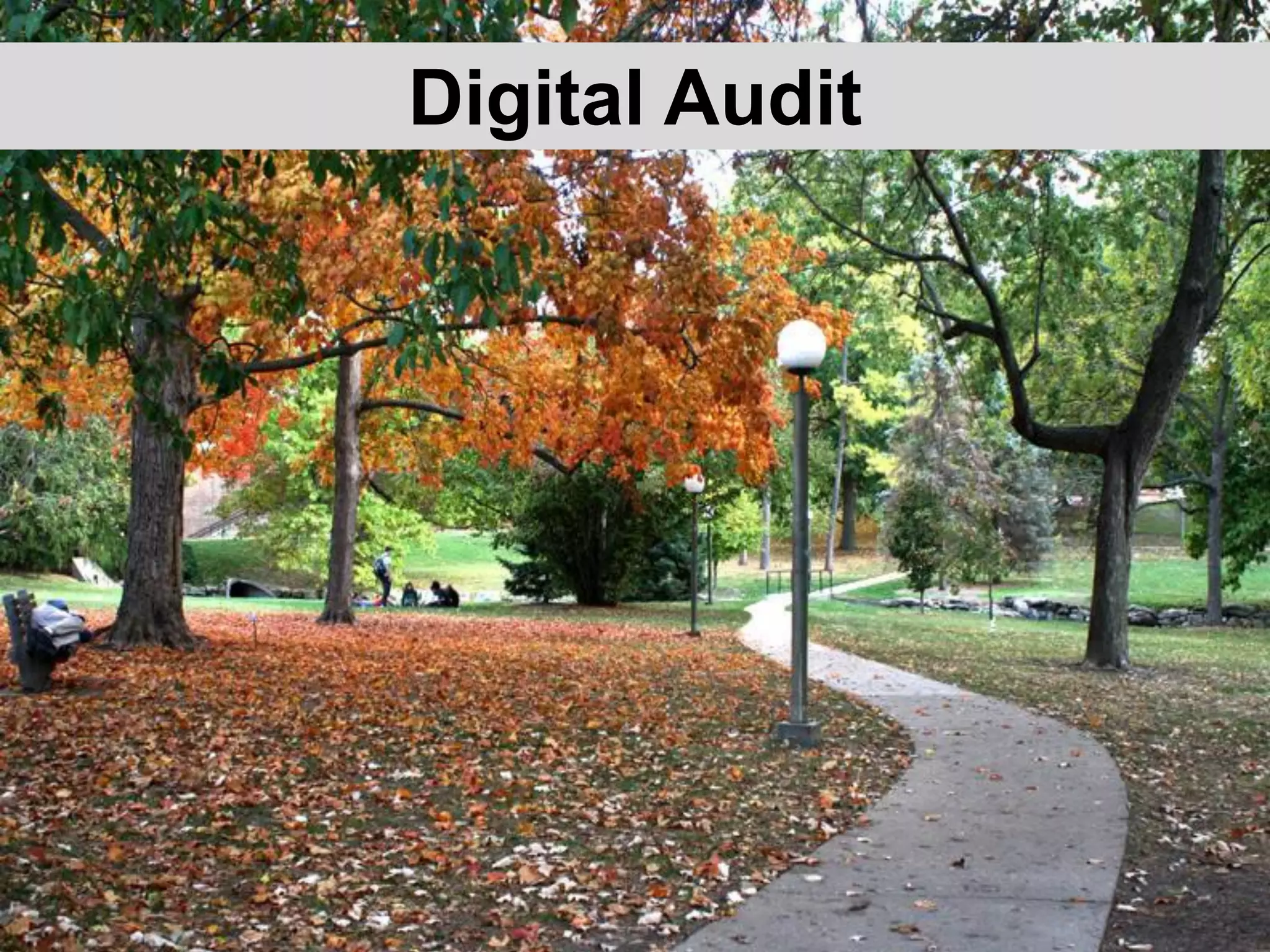 Digital Audit
 