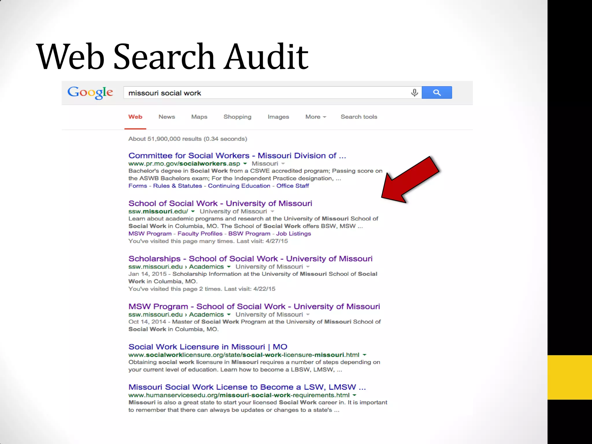 Web Search Audit
 