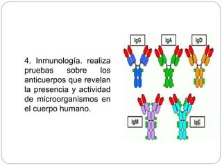4. Inmunología. realiza
pruebas sobre los
anticuerpos que revelan
la presencia y actividad
de microorganismos en
el cuerpo humano.
 