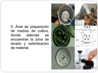 5. Área de preparación
de medios de cultivo,
donde además se
encuentran la zona de
lavado y esterilización
de material.
 