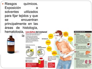  Riesgos químicos.
Exposición a
solventes utilizados
para fijar tejidos y que
se encuentran
principalmente en las
áreas de histología,
hematología,
microbiología y
citología.
 