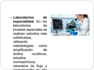  Laboratorios de
especialidad. En los
laboratorios de
pruebas especiales se
realizan estudios más
sofisticados,
utilizando
metodologías como
amplificación de
ácidos nucléicos,
estudios
cromosómicos,
citometría de flujo y
 