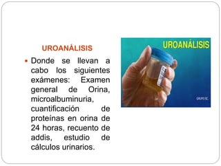 UROANÁLISIS
 Donde se llevan a
cabo los siguientes
exámenes: Examen
general de Orina,
microalbuminuria,
cuantificación de
proteínas en orina de
24 horas, recuento de
addis, estudio de
cálculos urinarios.
 