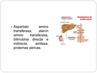  Aspartato amino
transferasa, alanín
amino transferasa,
bilirrubina directa e
indirecta, amilasa,
proteínas séricas.
 
