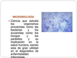 MICROBIOLOGÍA
 Ciencia que estudia
los organismos
procariotas como las
bacterias y los
eucariotas como los
hongos y los
parásitos y su
implicación en la
salud humana, siendo
esta de gran utilidad
en el diagnóstico de
enfermedades
infecciosas.
 