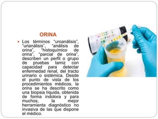 ORINA
 Los términos “uroanálisis”,
“urianálisis”, “análisis de
orina”, “histoquímico de
orina”, “parcial de orina”,
describen un perfil o grupo
de pruebas tamiz con
capacidad para detectar
enfermedad renal, del tracto
urinario o sistémica. Desde
el punto de vista de los
procedimientos médicos, la
orina se ha descrito como
una biopsia líquida, obtenida
de forma indolora y para
muchos, la mejor
herramienta diagnóstico no
invasiva de las que dispone
el médico.
 