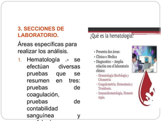 3. SECCIONES DE
LABORATORIO.
Áreas específicas para
realizar los análisis.
1. Hematología .- se
efectúan diversas
pruebas que se
resumen en tres:
pruebas de
coagulación,
pruebas de
contabilidad
sanguínea y
 