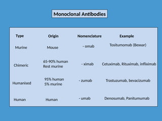 Type
Monoclonal Antibodies
Murine Mouse - omab
Chimeric
65-90% human
Rest murine
- ximab
Humanised
95% human
5% murine
- zumab
Human Human - umab
Cetuximab, Rituximab, infliximab
Tositumomab (Bexxar)
Trastuzumab, bevacizumab
Denosumab, Panitumumab
Origin Nomenclature Example
 